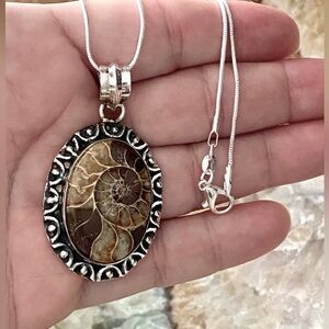Ammonite Fossil stone pendant, .925 Sterling Silver overlay. Gorgeous piece!